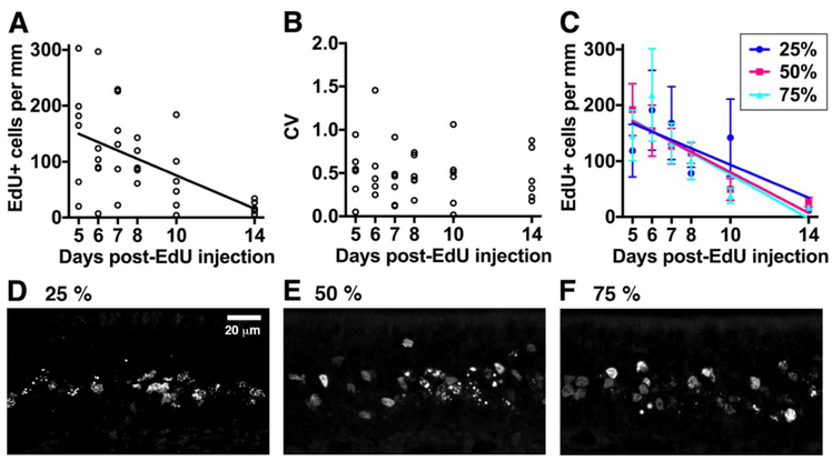 Figure 4: