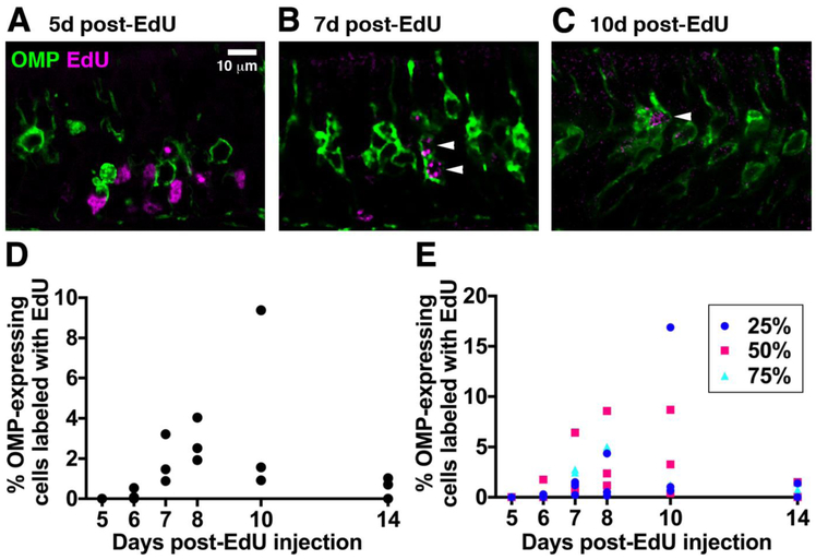 Figure 3: