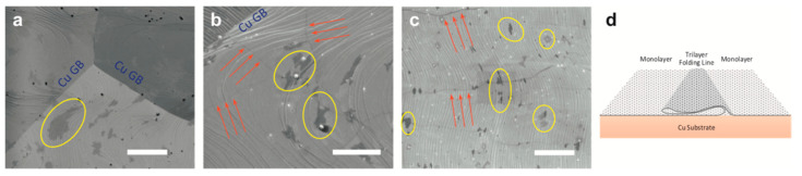 Figure 28