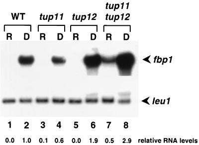 FIG. 6