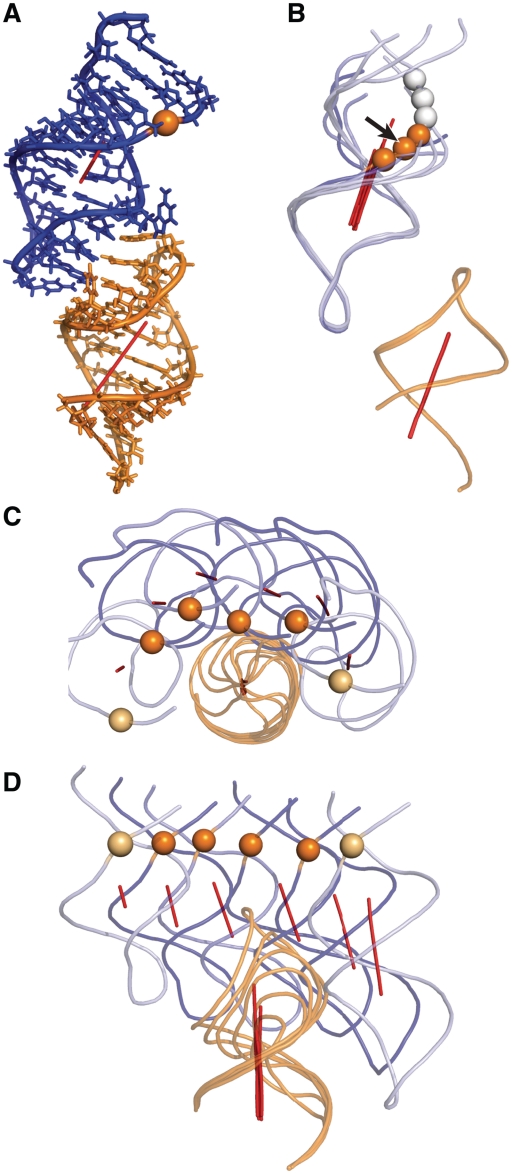 Figure 5.