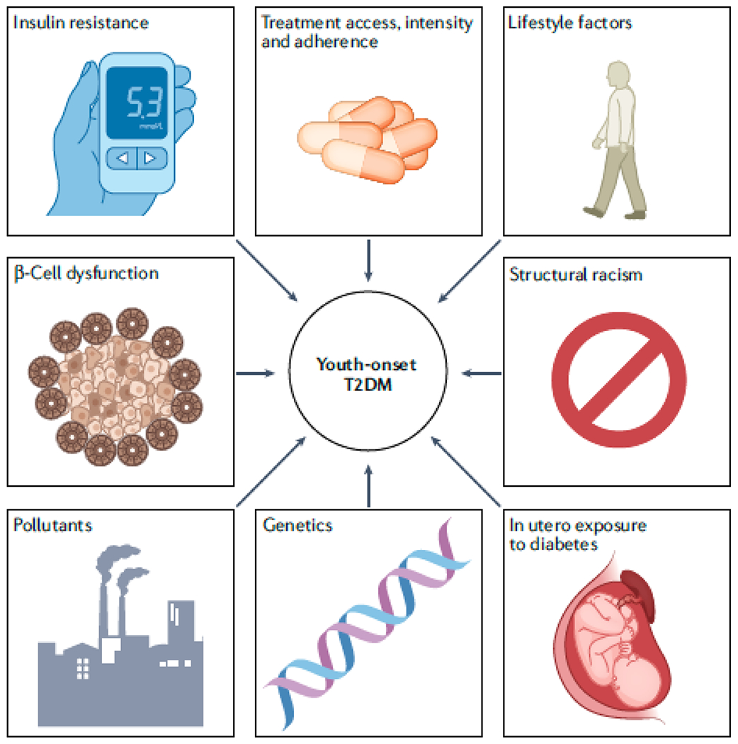 Figure 3 |