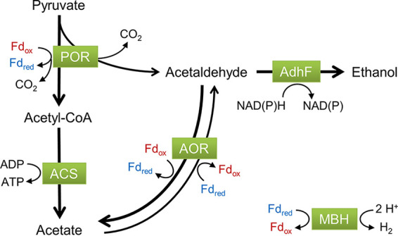 FIG 5