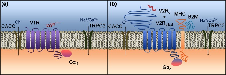 Fig. 2