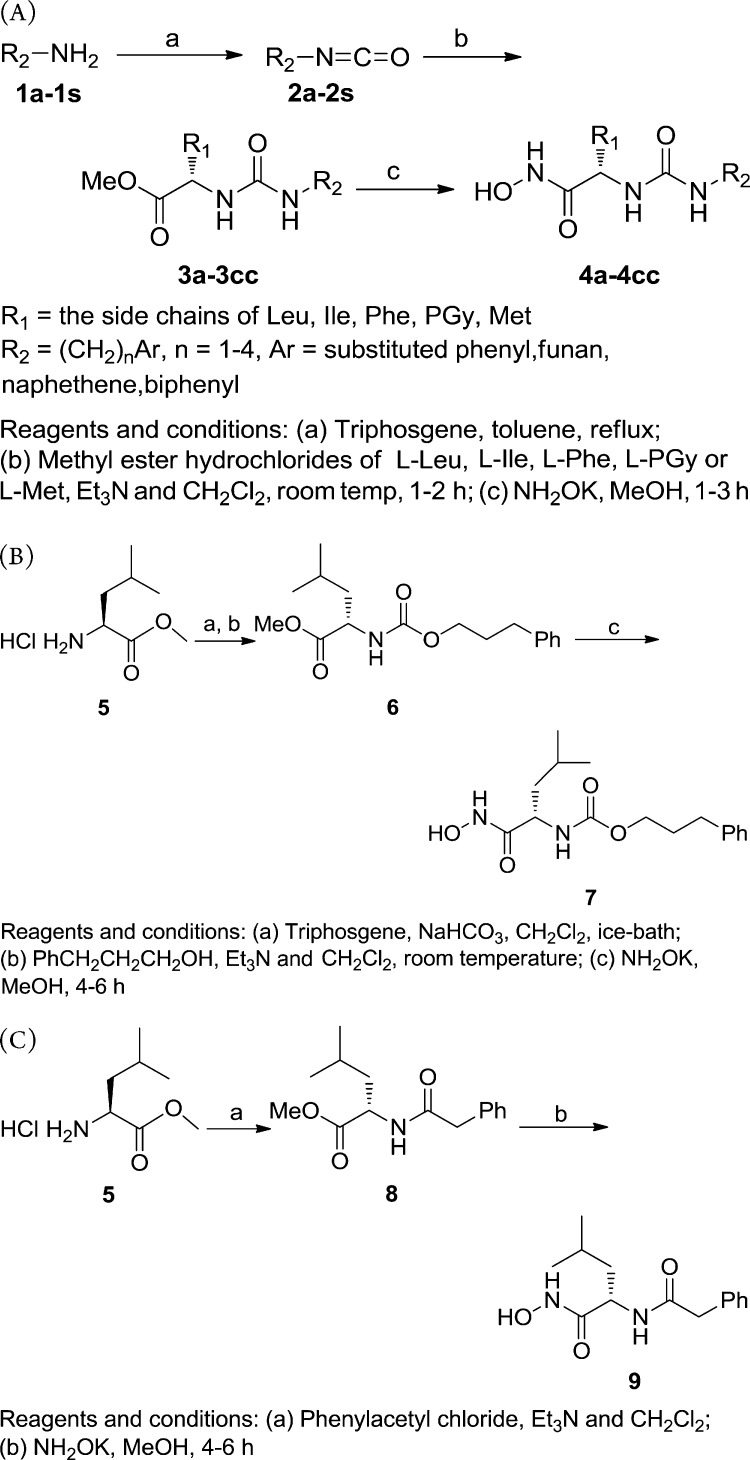 Scheme 1