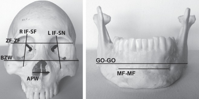 Figure 2)