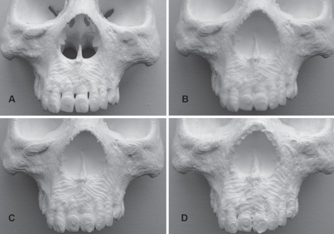 Figure 6)