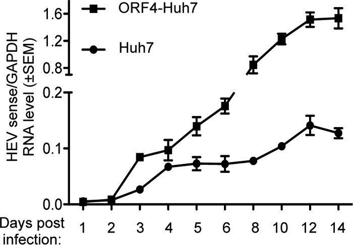 FIG 4