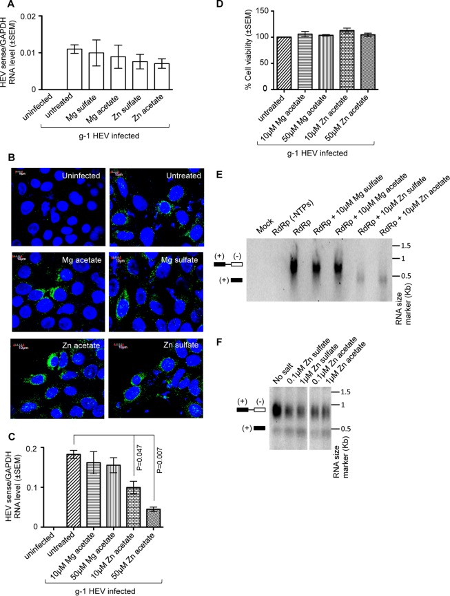 FIG 6