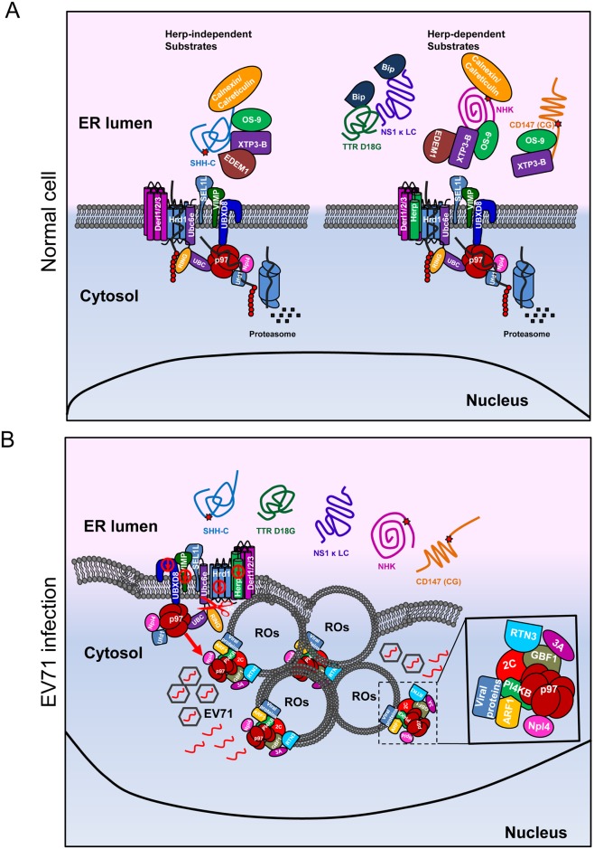 Fig 10