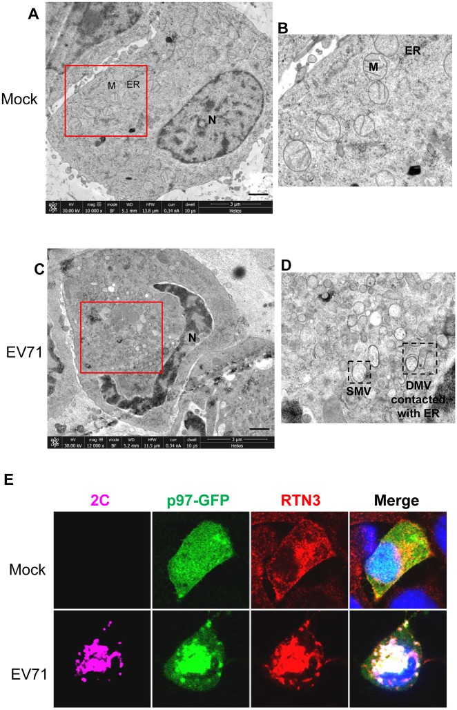 Fig 9