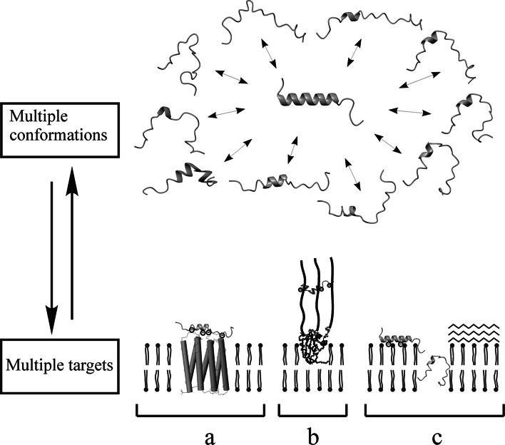 Fig. 1