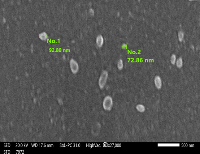 Fig. 2