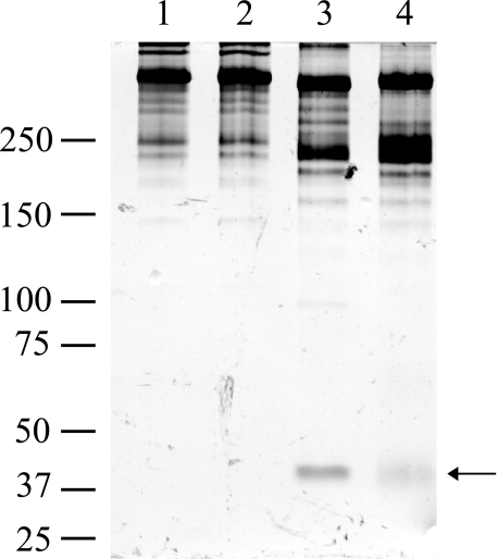 FIGURE 9.