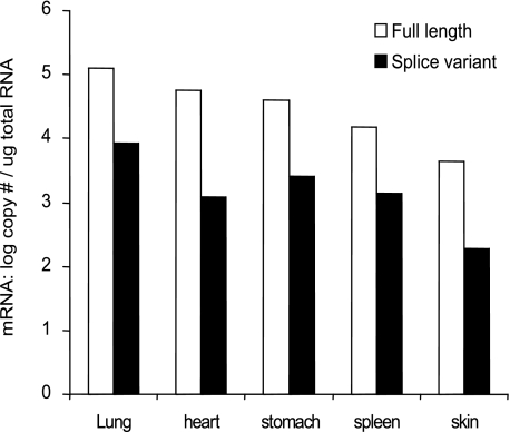 FIGURE 5.