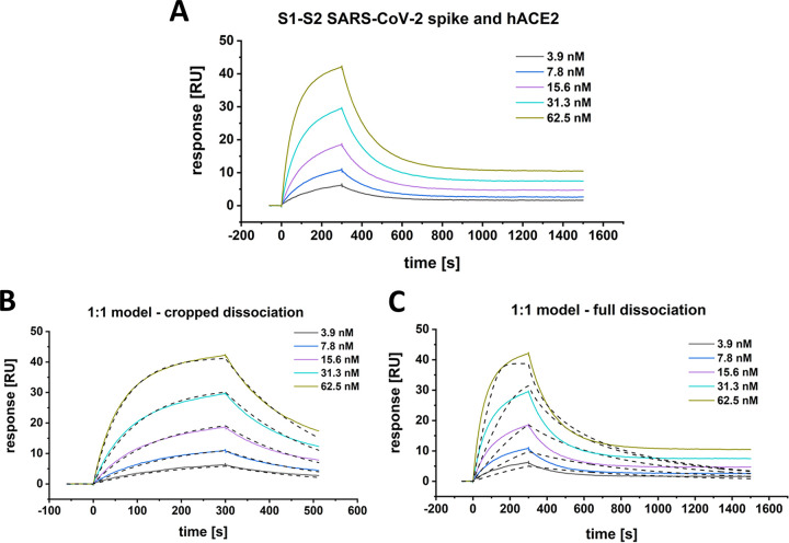 FIG 2