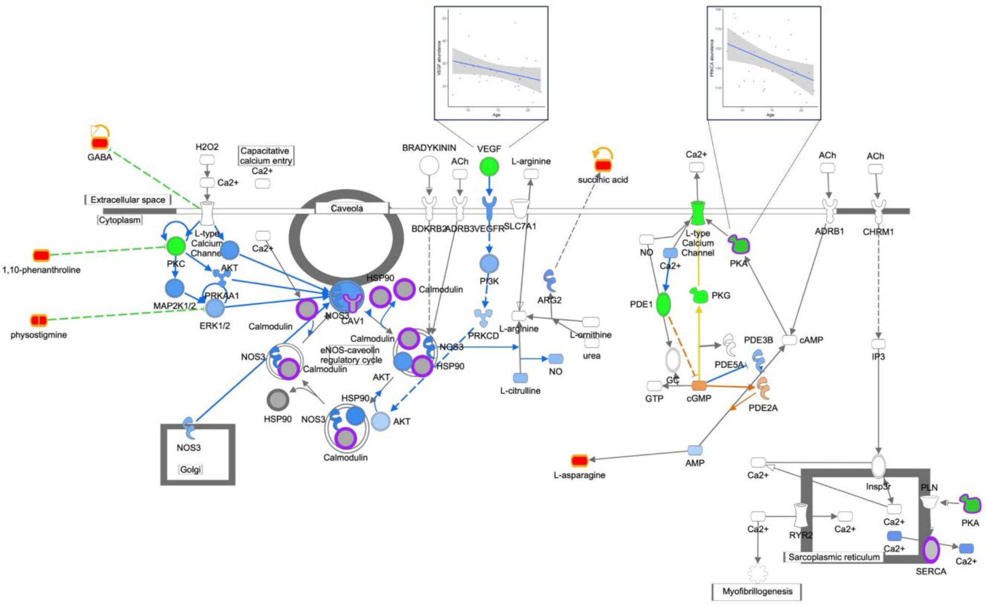 Figure 4: