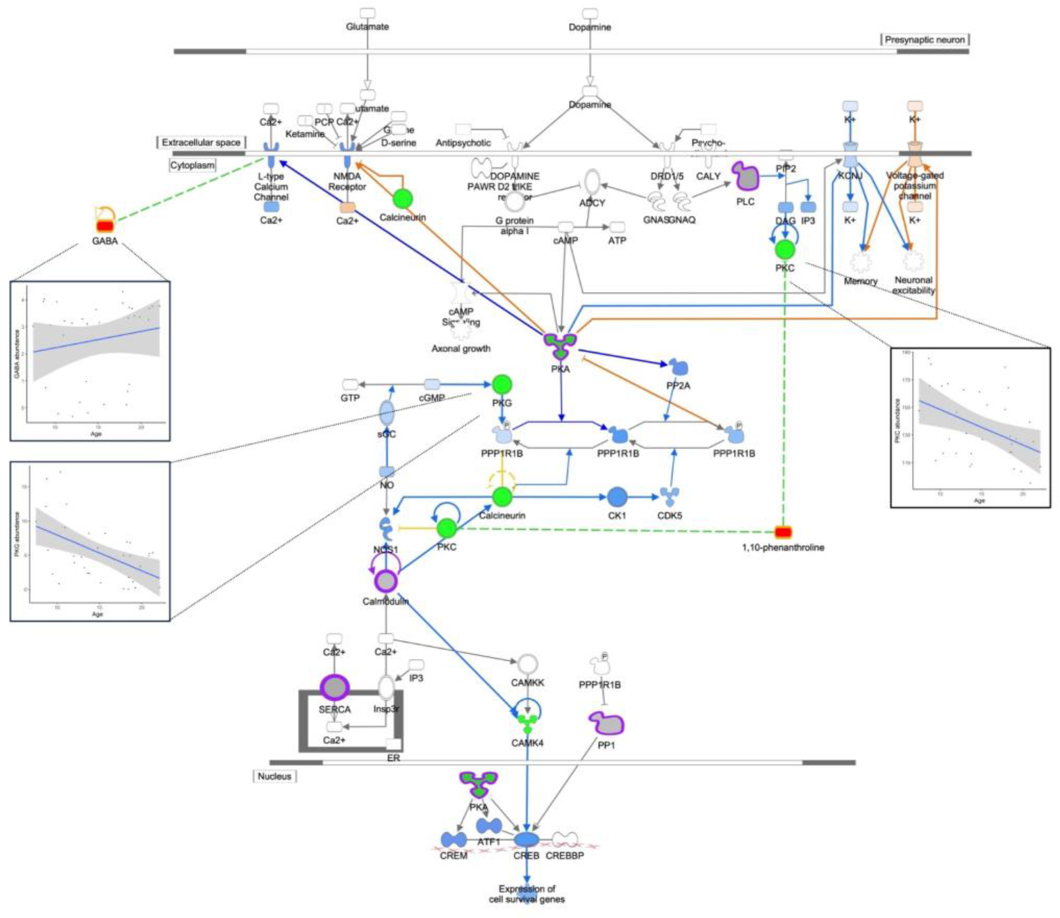 Figure 3: