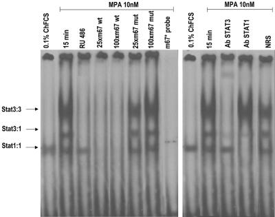 FIG. 6.