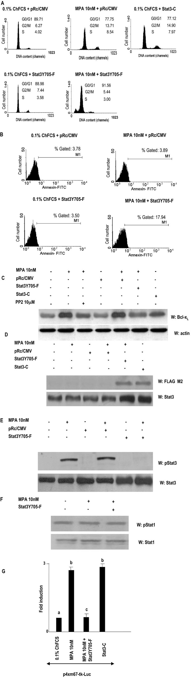 FIG. 8.