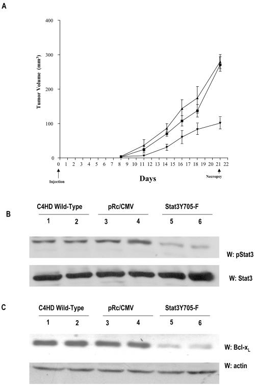 FIG. 9.