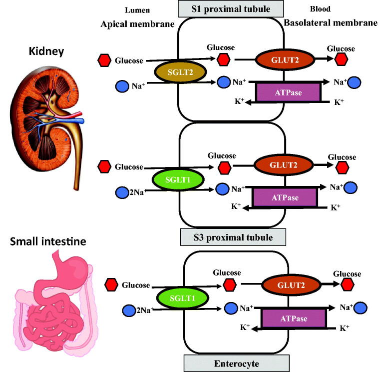 Figure 2.