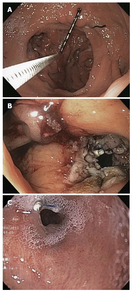 Figure 7