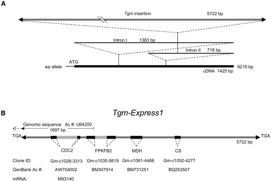 Figure 9.