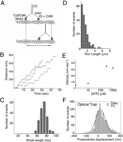 Fig. 3.