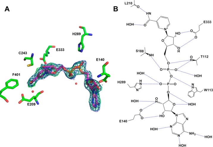 Figure 5