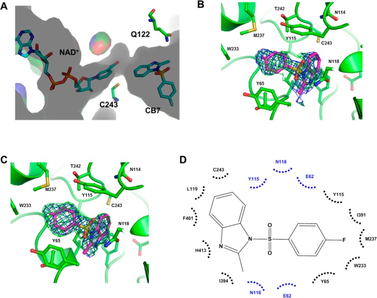 Figure 4