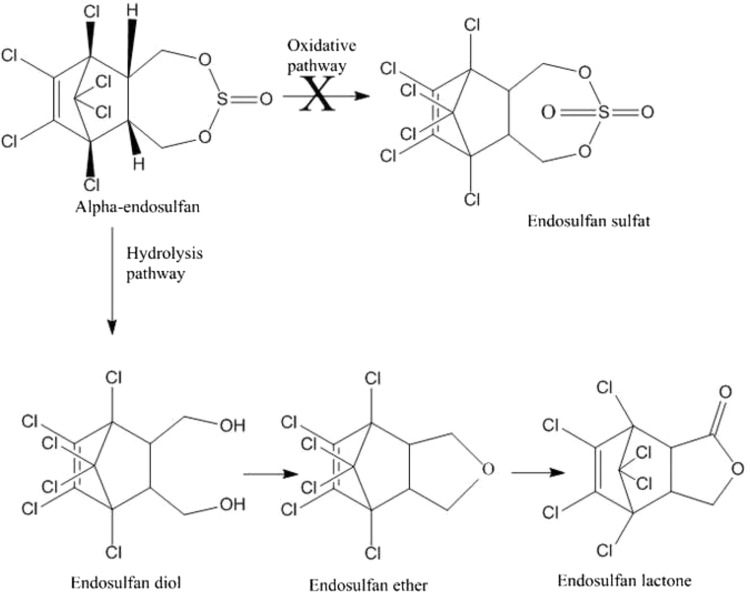 Fig. 5