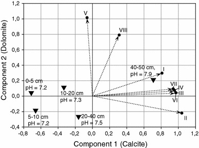 Fig. 4