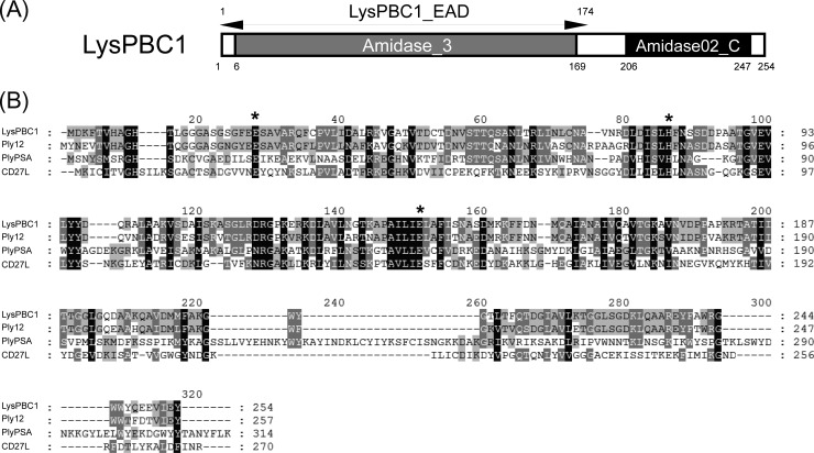 FIG 6