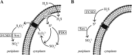 FIG 4