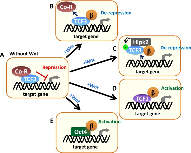 Figure 3.