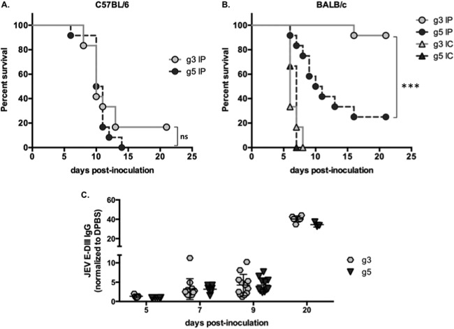 FIG 3