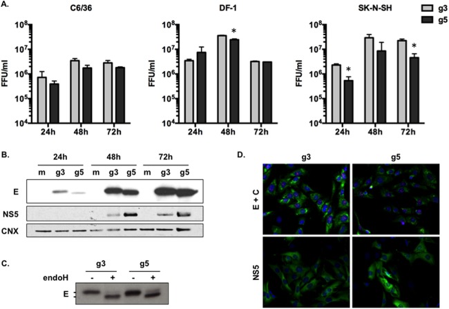 FIG 2