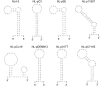 FIGURE 13