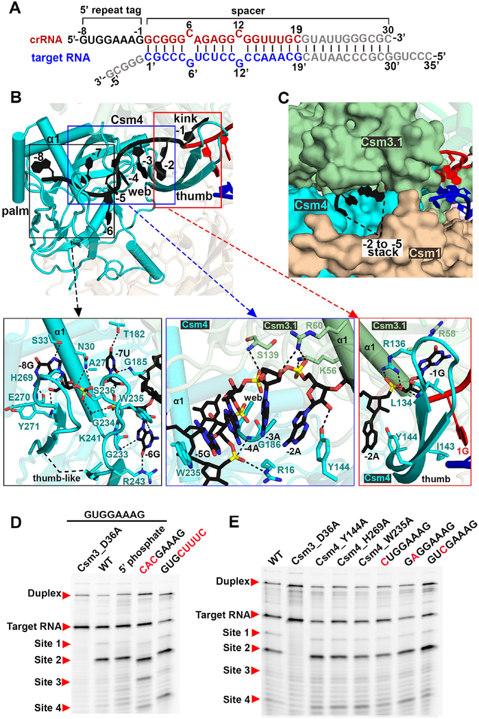 Figure 3.