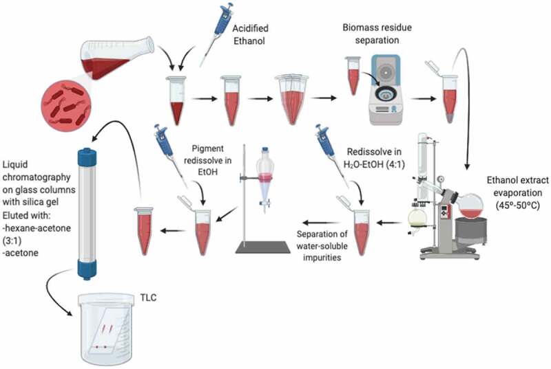 Figure 2.