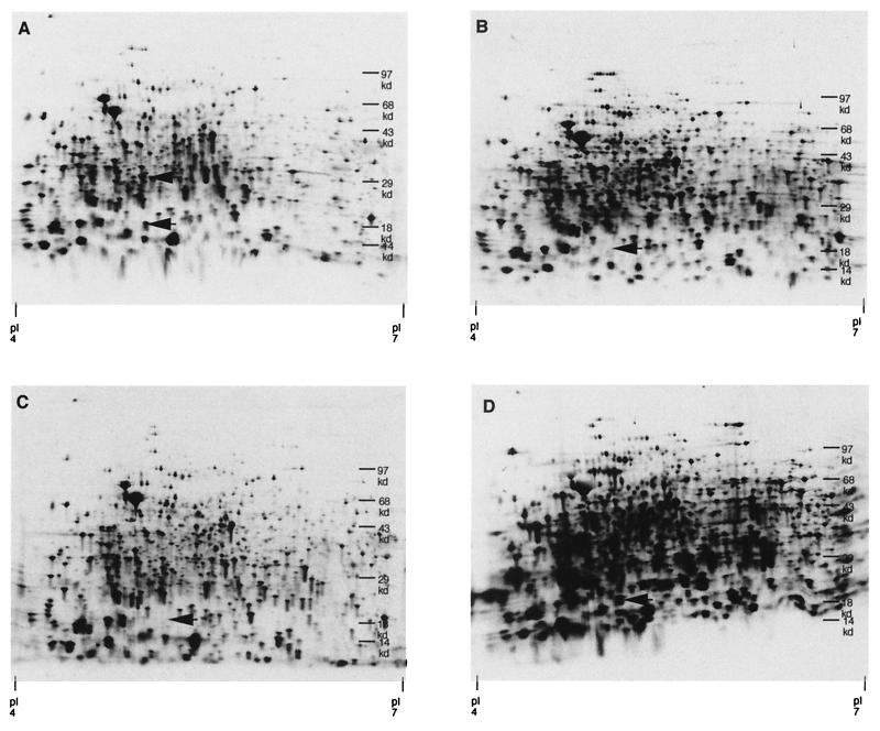 FIG. 3