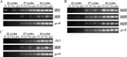FIG 6