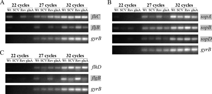 FIG 6