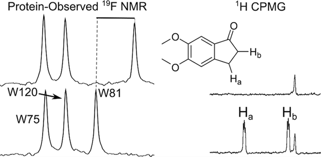 graphic file with name nihms-1725989-f0001.jpg