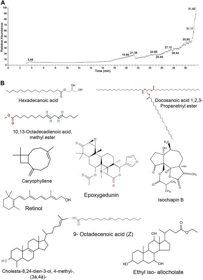 FIGURE 1