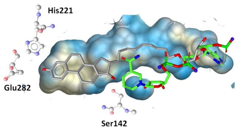 Figure 6