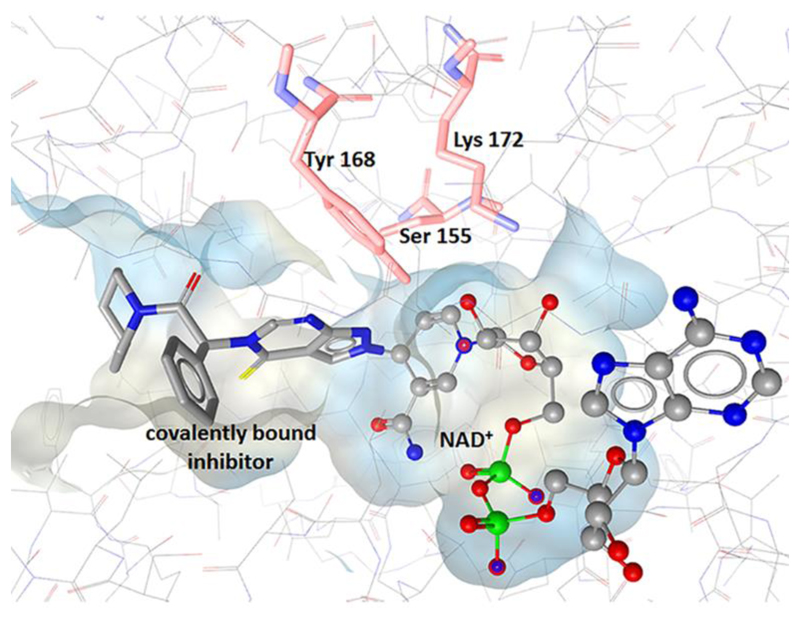 Figure 10