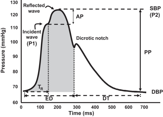 Fig. 1.