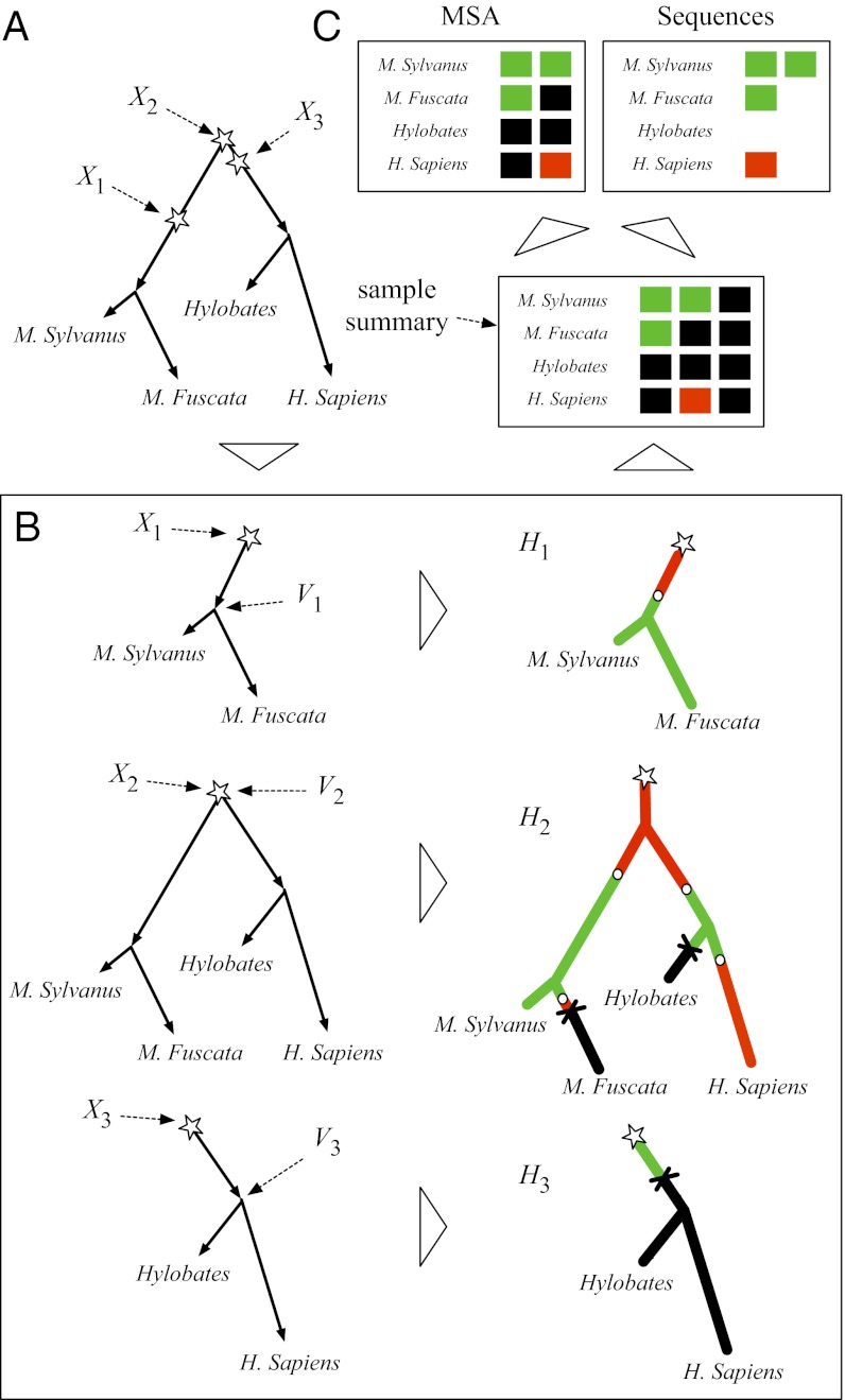 Fig. 3.